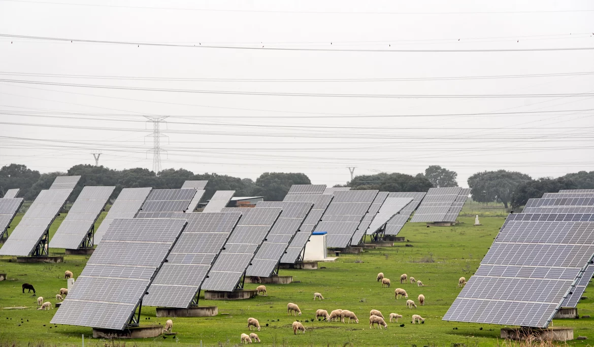 Solar Energy for Agriculture Benefits and Use Cases in Rural India